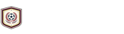 雨燕体育直播